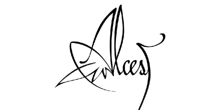 logo-07-07